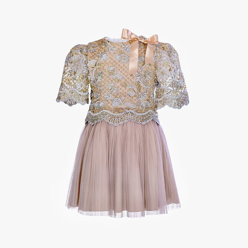 Girls Beige Embroidered Dress